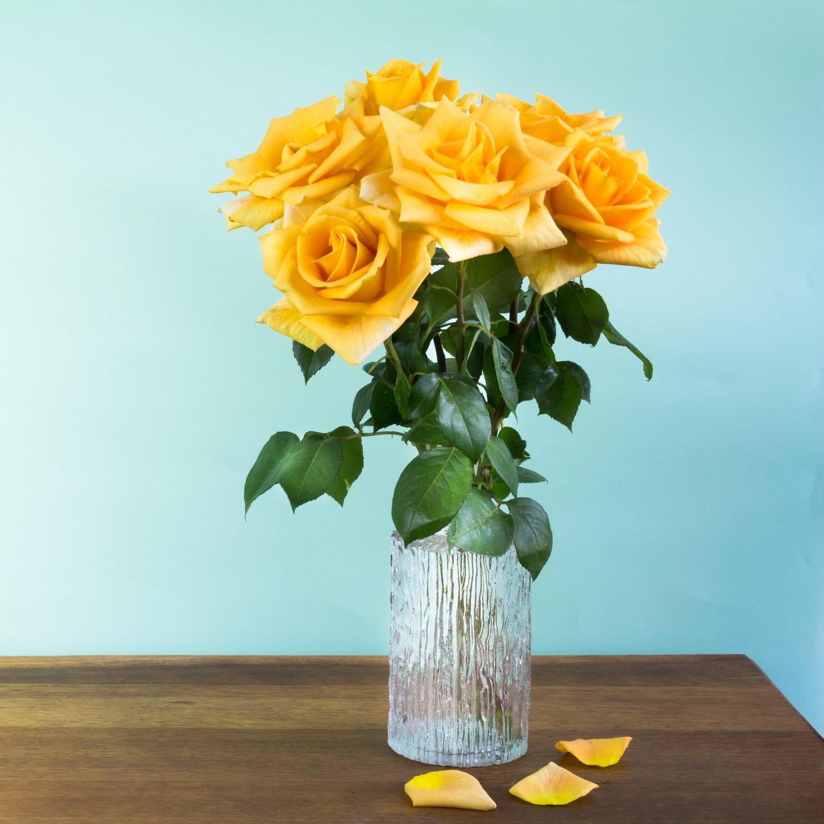 yellow-rose-vase