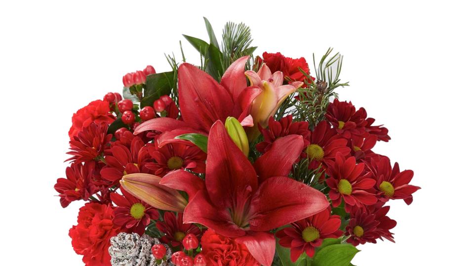 yultide-dream-cutout